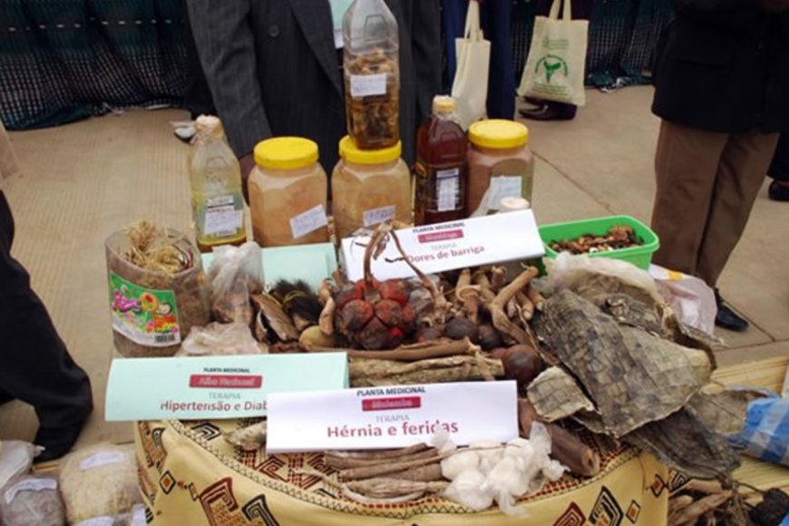 Traditional Herbal Medicine Gaining a Foothold in the Health System