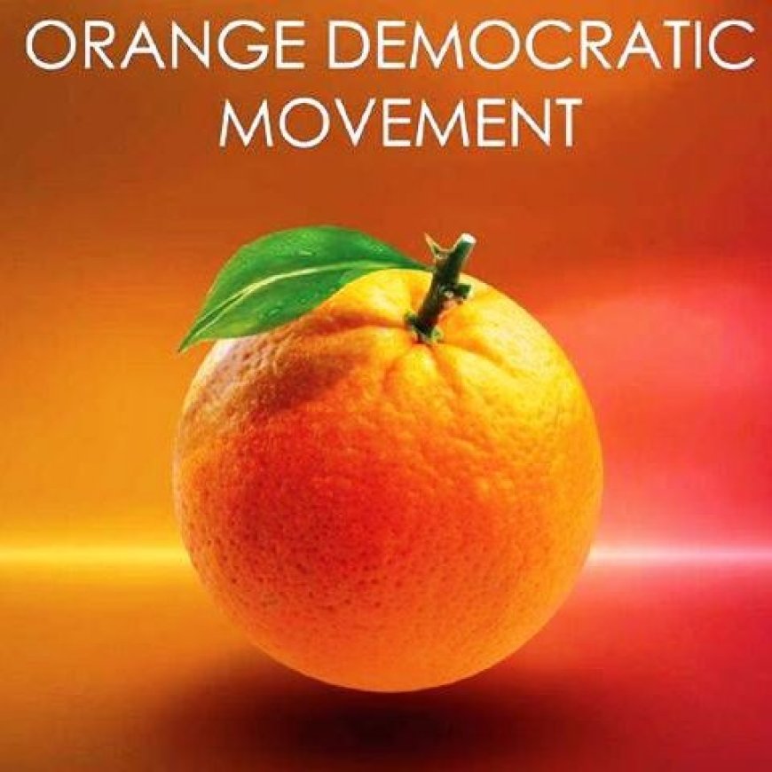 ODM to revitalize its grassroots strength