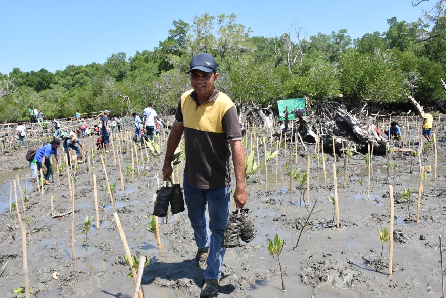 Government out to promote restoration of mangrove ecosystem