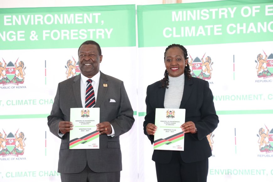 Ministry of Environment launches 2023-2027 Strategic Plan