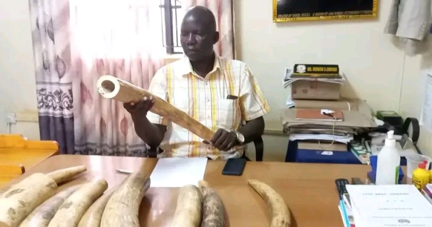 Game trophy recovered in Marsabit