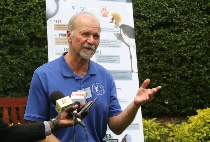 Efforts to save endangered crane birds