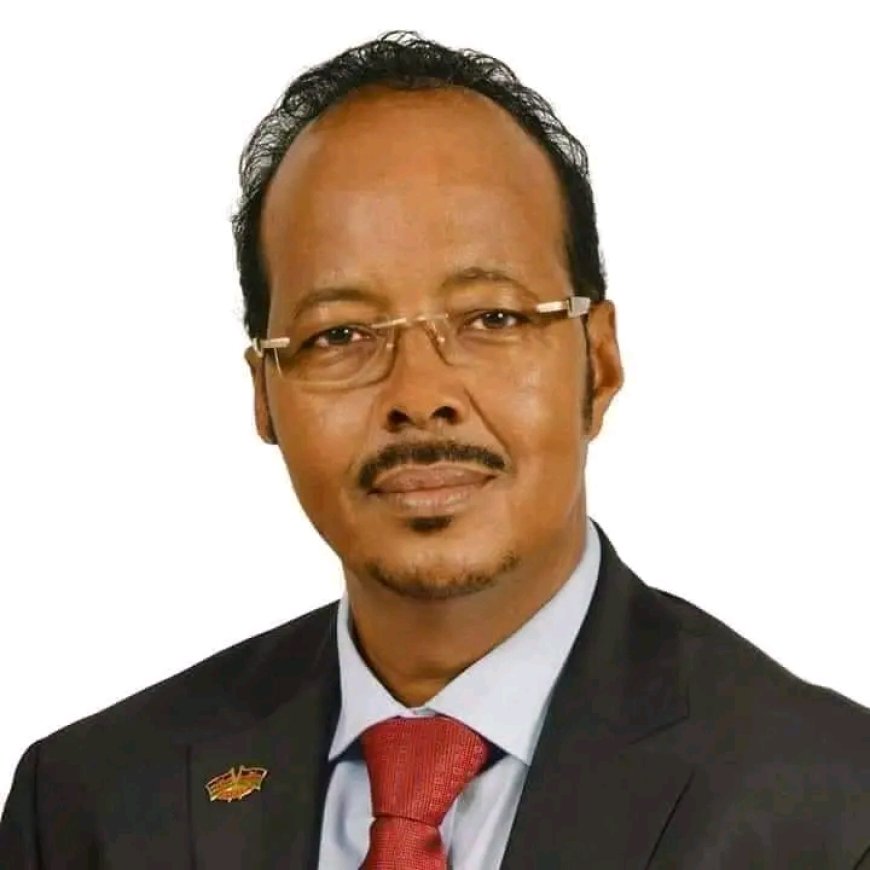 MP Adan satirises opposition issues