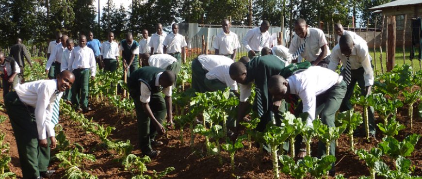 School promotes Agri-tech technologies to empower youths