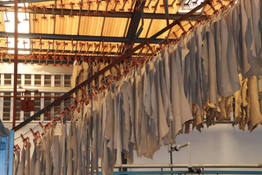 County partners with Alpharama to Boost Hides and Skin Industry