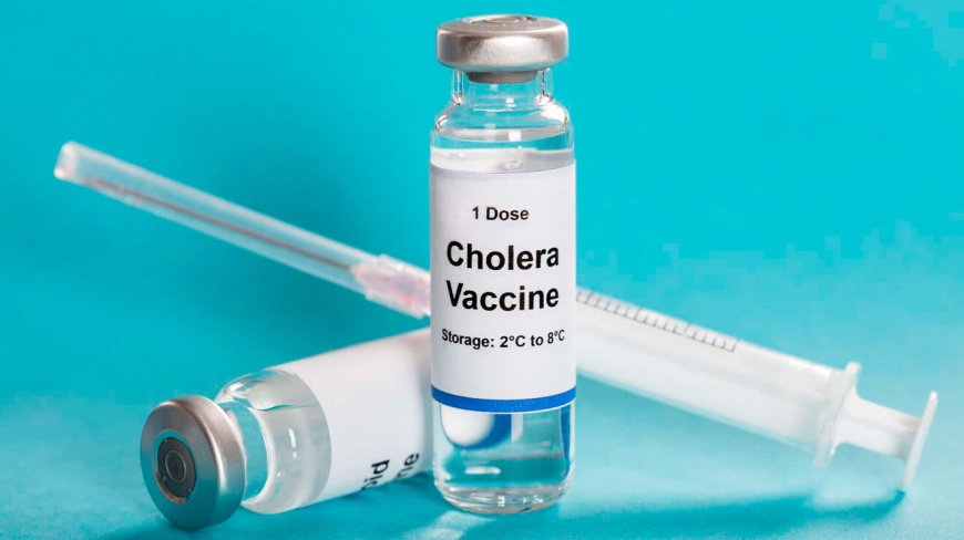 Government to offer free Cholera Vaccination