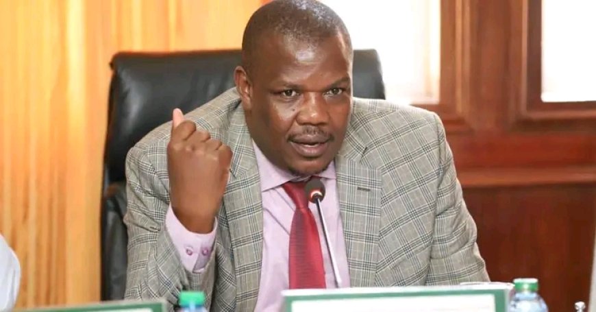 MP Wamboka wants government to compensate victims of protests before talks