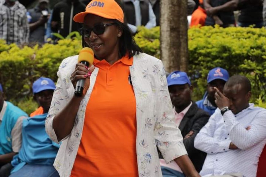 Diplomats praise Ruto's management style - MP Elachi