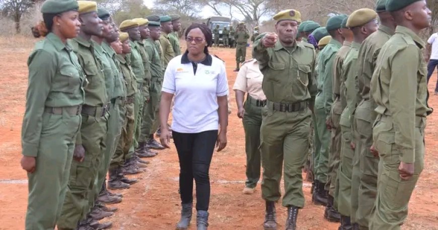 Conservancies want Tsavo National Park revenue-sharing talks