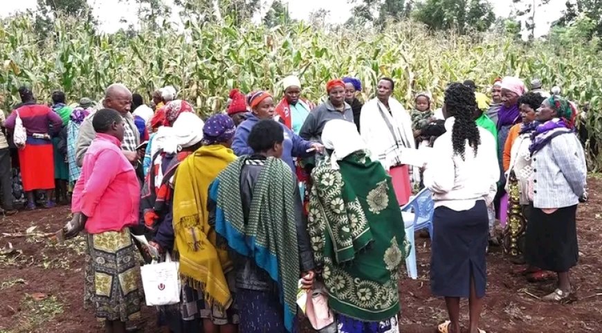 Embu farmers Reaping Big from Climate-Resilient Training