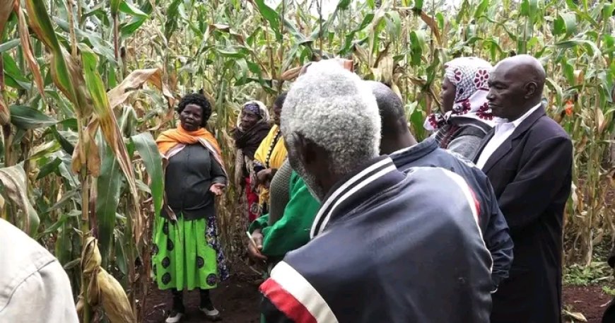 Bomet farmers embrace modern weather forecasting methods to boost yields