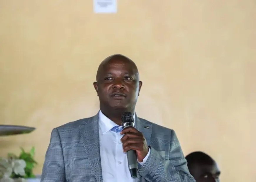 Vihiga Senator  Criticises Ruto’s intention behind dialogue