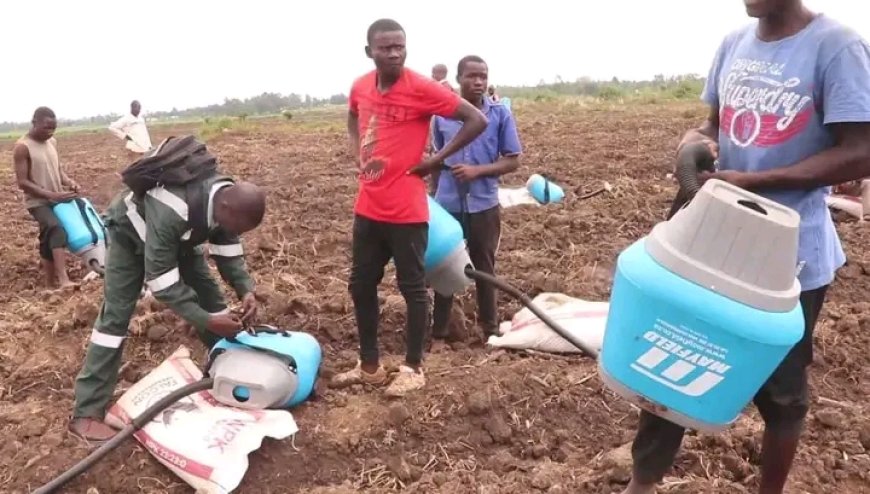 West Kenya Sugar Ltd urged Busia cane farmers to embrace modern Technology for more yields