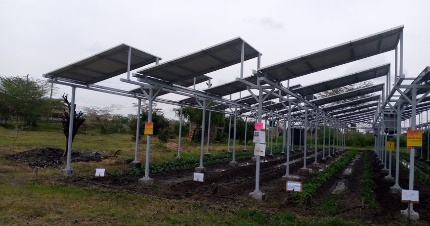 New solar technology to boost food security