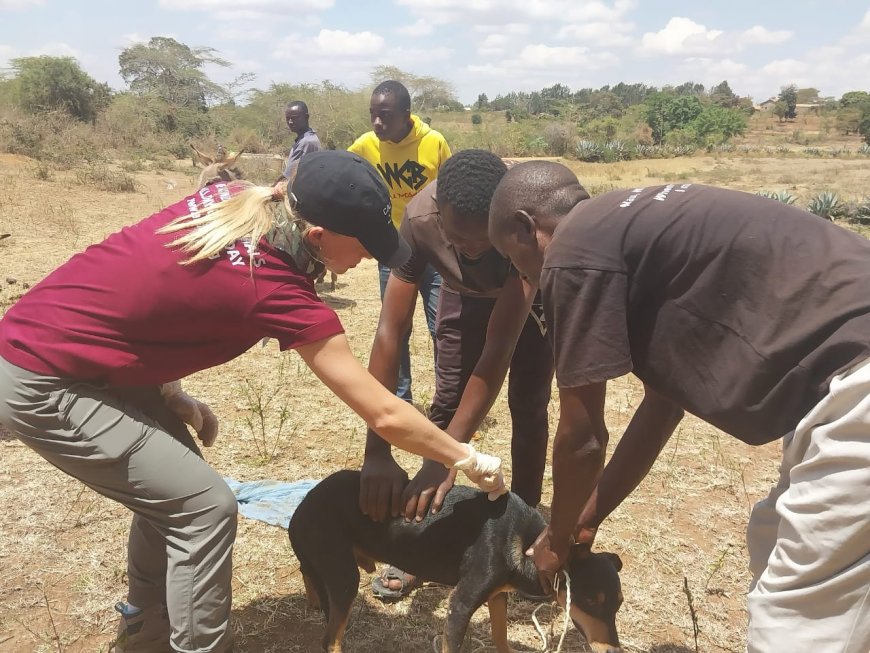 8000 dogs to be vaccinated against rabies in Machakos