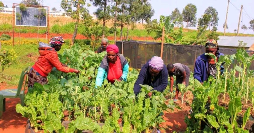 Nyeri County to register farmers Online