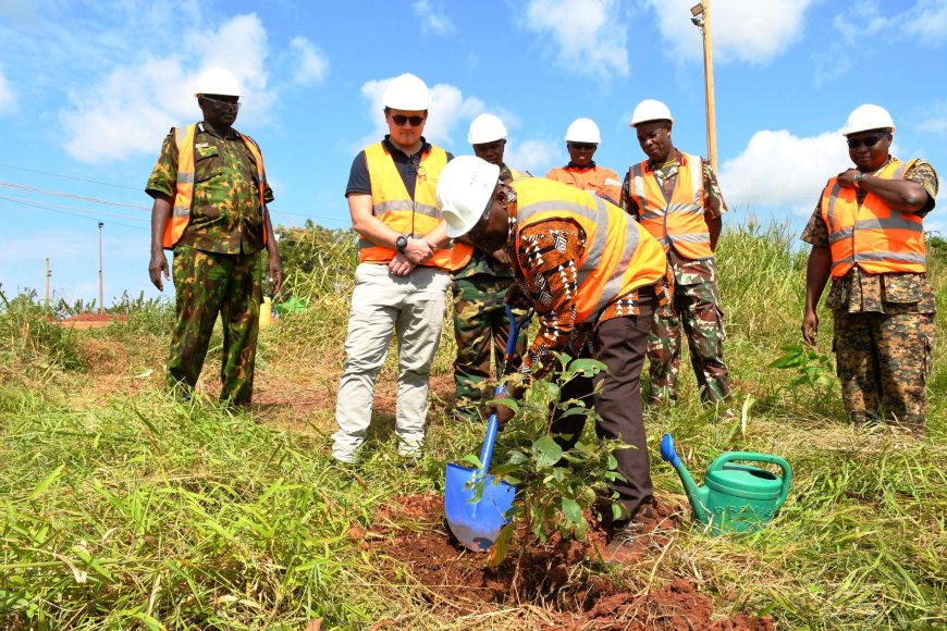 Mining company embarks on tree planting exercise