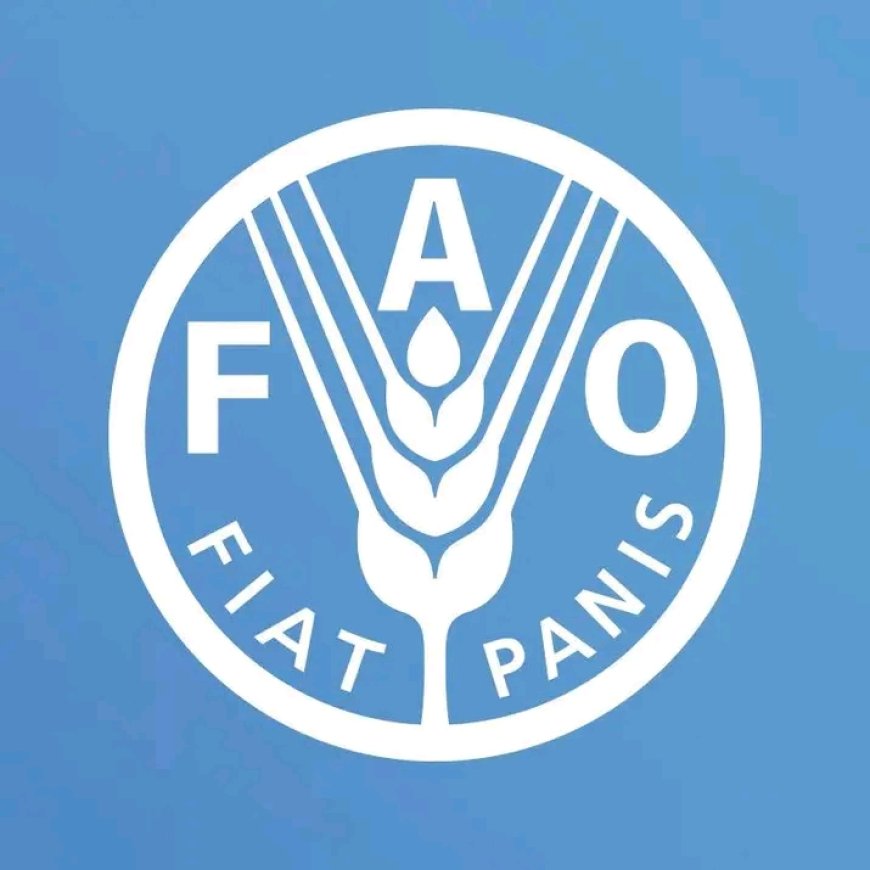 FAO project to support 1,000 households affected by drought in Makueni