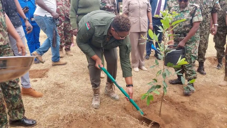 NYS to propagate 50 million tree seedlings for the ambitious 15 billion tree programme