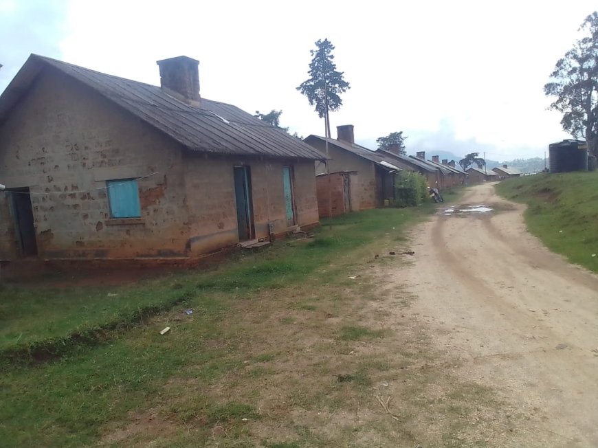 Sigh of relief as government renovates dilapidated police houses