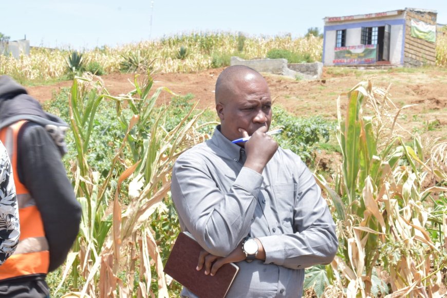 Over 5000 Nakuru farmers to benefit from multi-billion World-bank funded programme