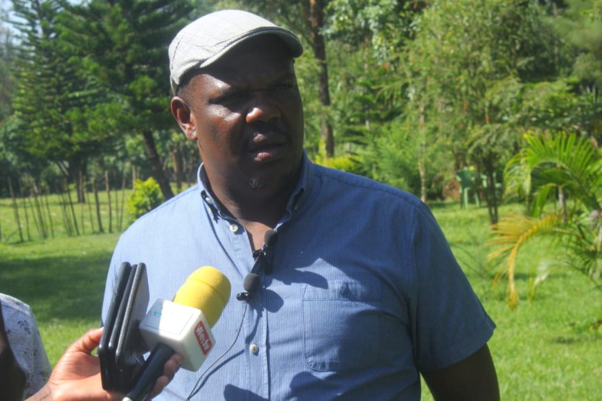 Wamboka wants President Ruto to fix the ailing sugar industry in western