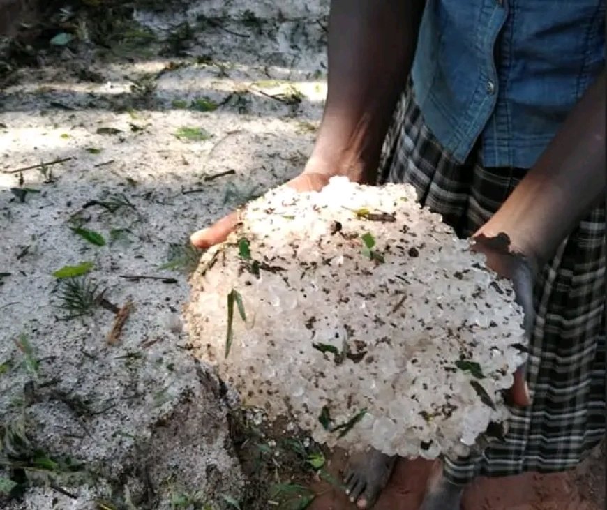 Farmers at Amagoro Location count losses as hailstorms cause Havoc