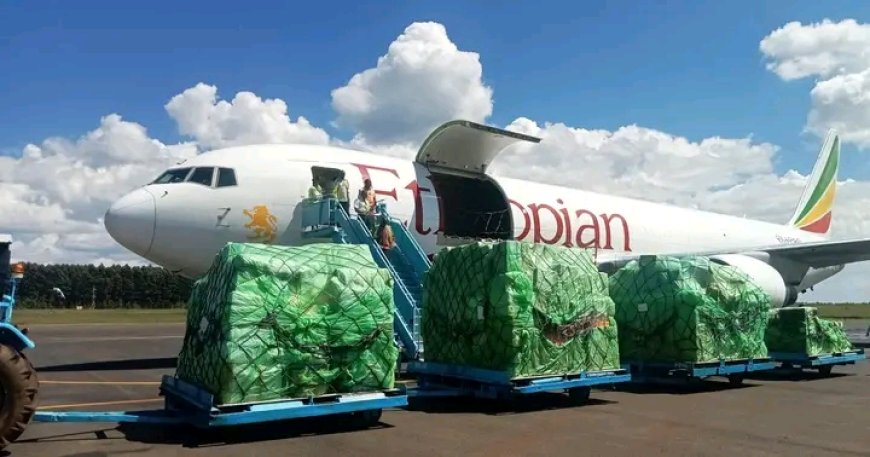 Cargo flights at Eldoret International Airport resumes