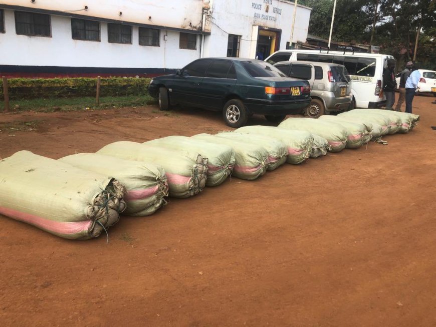 Police recover marijuana consignment being transported in a hearse