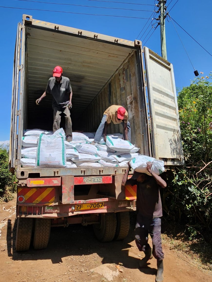 More Nakuru satellite stores get subsidized fertilizers