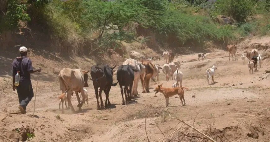 Kajiado Scribes Tipped On Climate Change Reporting