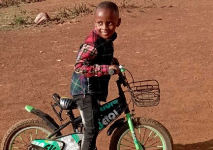 Caleb Odanga: Grade One pupil who fell from swing dies