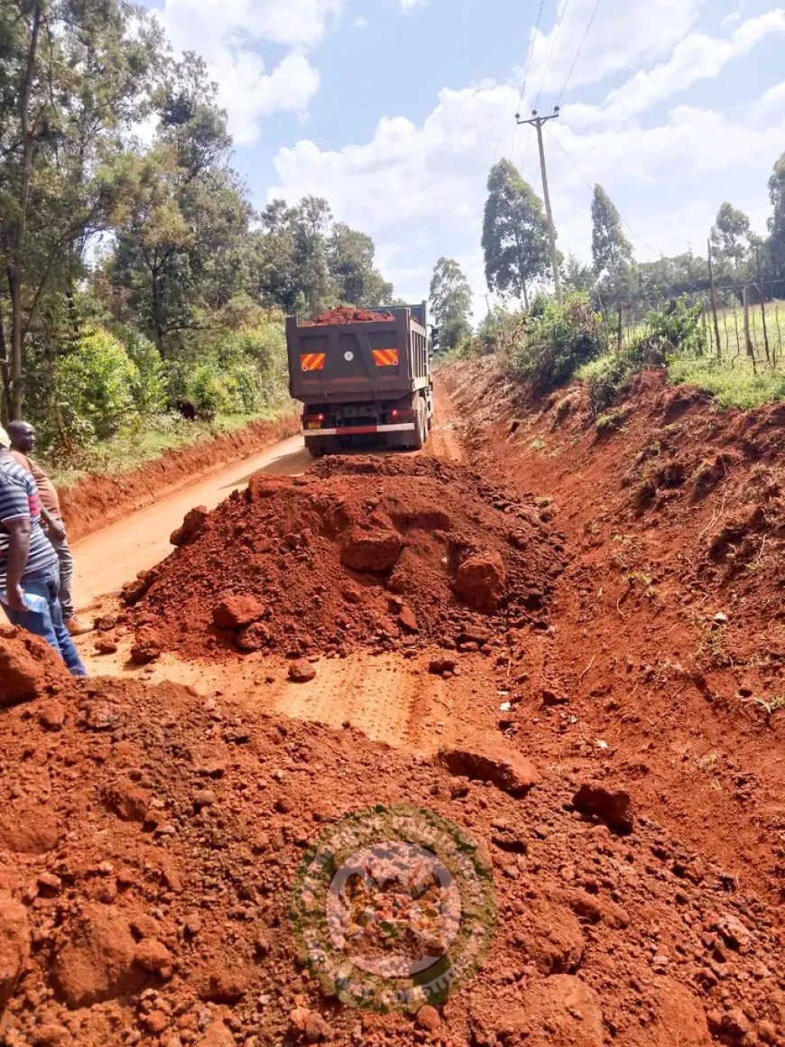 Road contractors who heavily underquote their estimates are incompetent, MP