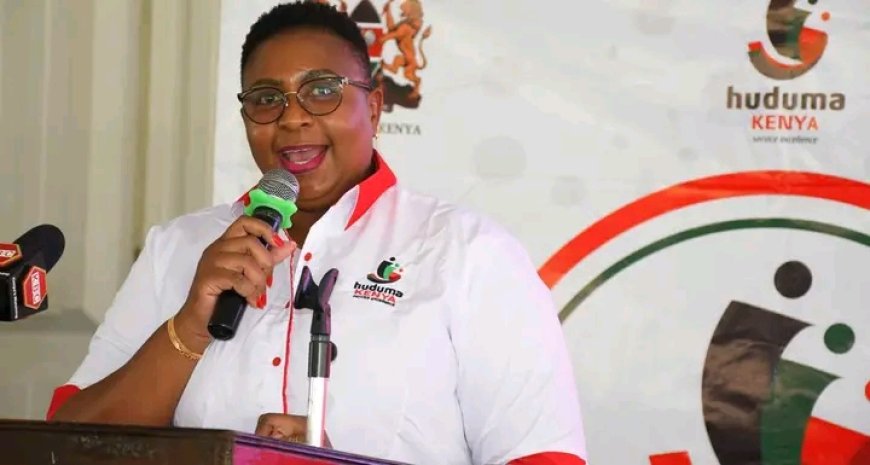 State to set up 290 one-stop-shops Huduma Centres in all sub-counties