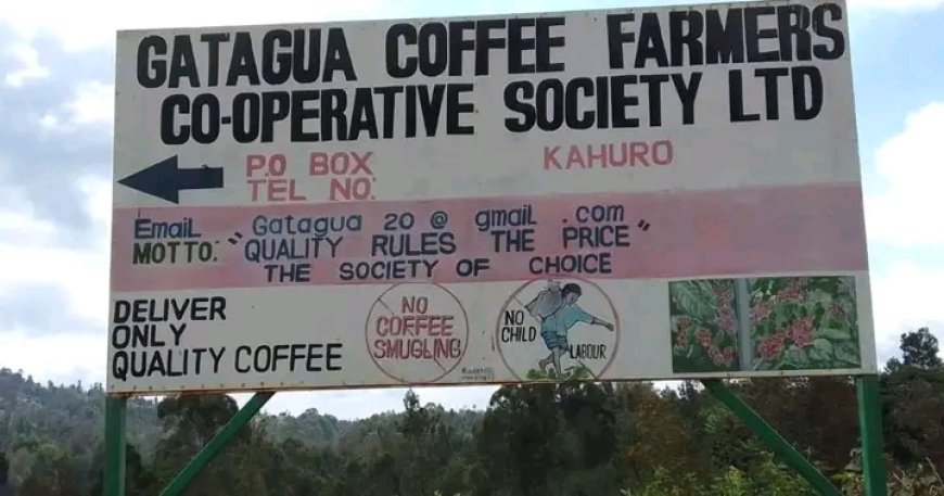 Farmers call for suspension of coffee regulations 2019