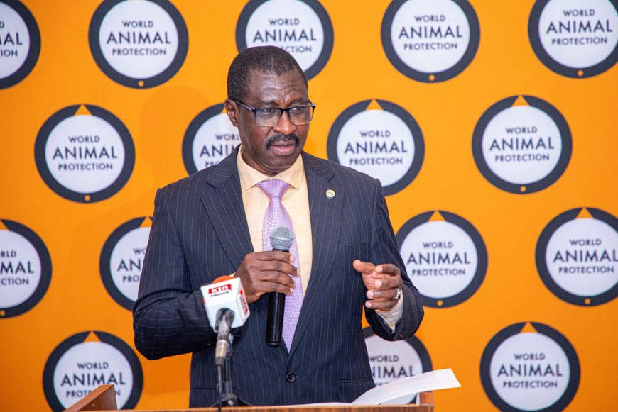 Make animal welfare part of the discussion during Africa Climate Summit