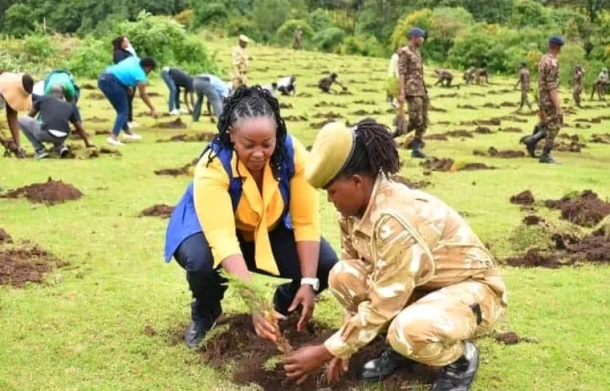 Environmental stakeholders call for action to tackle climate change