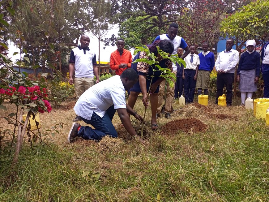 Media Council of Kenya partners with Meru Journalists to conserve the environment