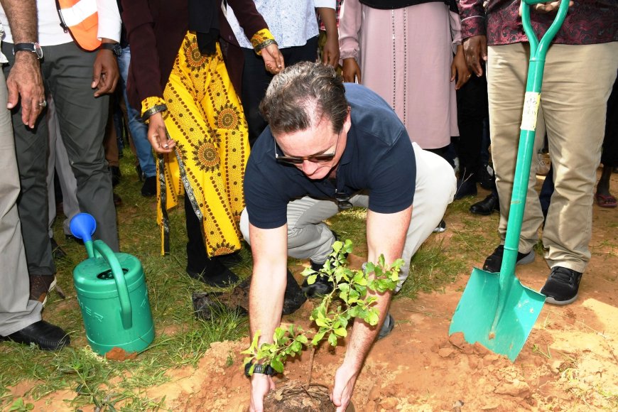 Transforming mining land as farming areas for food security