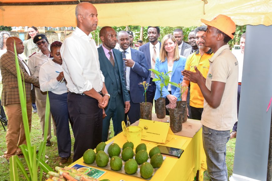 Canadian Minister Applauds Promotion of Youth Agri-preneurship