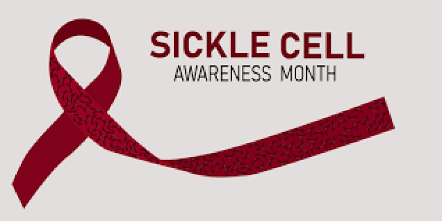 Sickle Cell Anemia Awareness Month launched in Butere Sub County