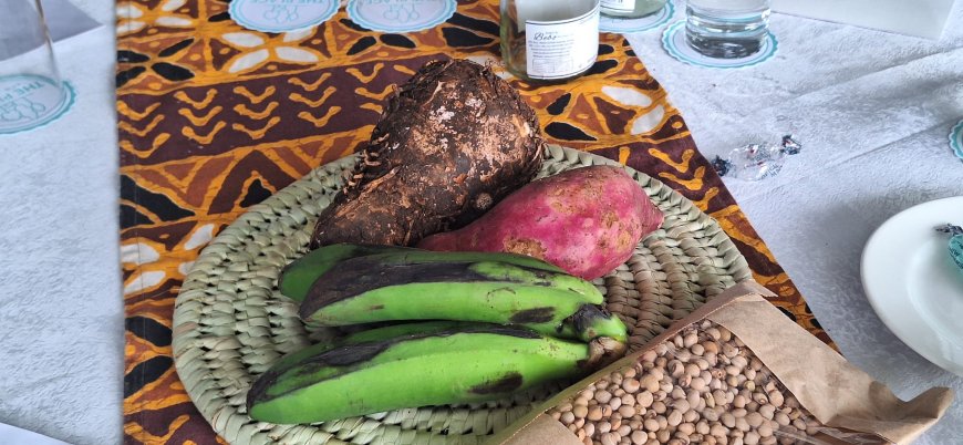 Indigenous foods key to improving food and nutrition security