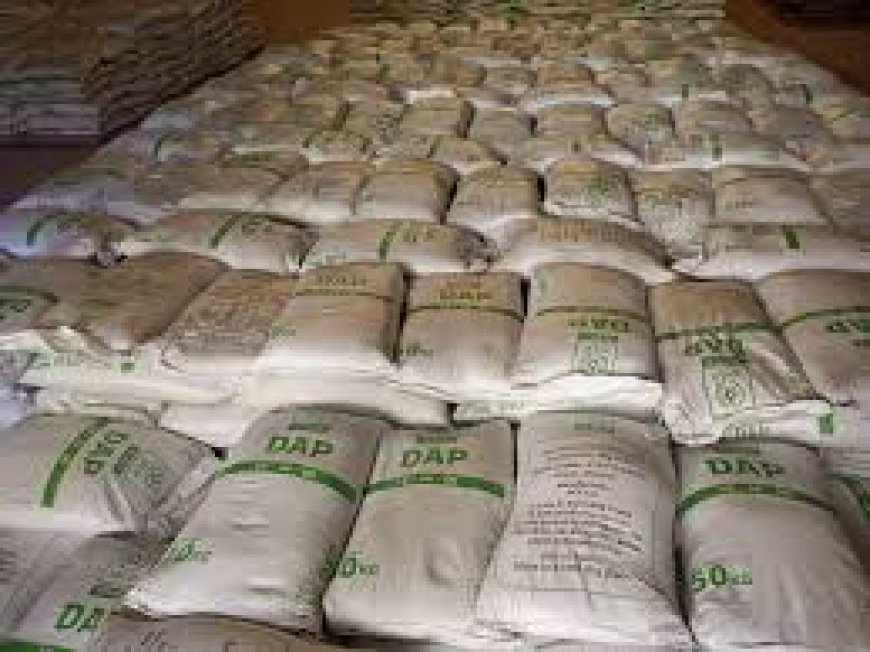 Farmers urged to purchase subsidized fertilizer in Butere