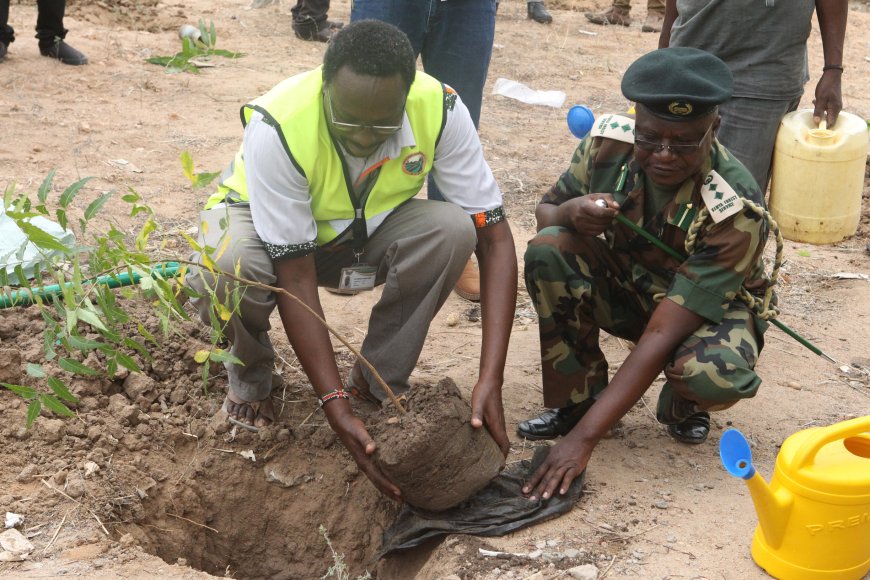 KURA, Forest service, Yathrib Secondary school plant 300 tree seedlings