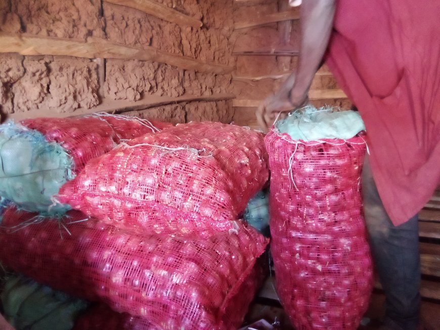 Onion shortage hits Daraja Mbili Market in Kisii