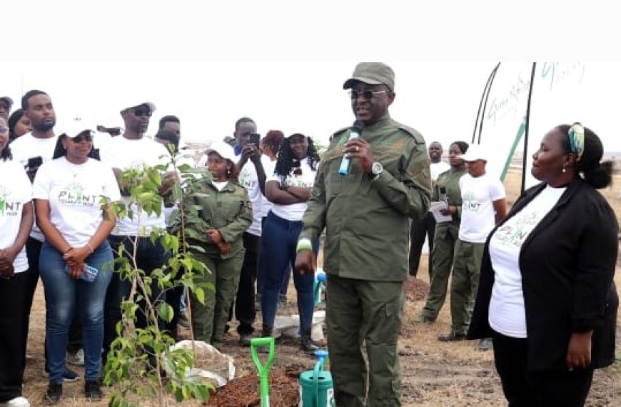 Kenyans can plant 7.5 billion trees in 7 years if they plant according to their ages