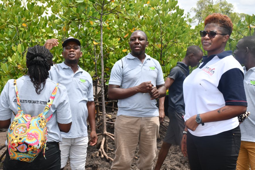 Wanahabari Kilifi wajitosa katika upanzi wa miti kuchangia suluhu ya tabia nchi