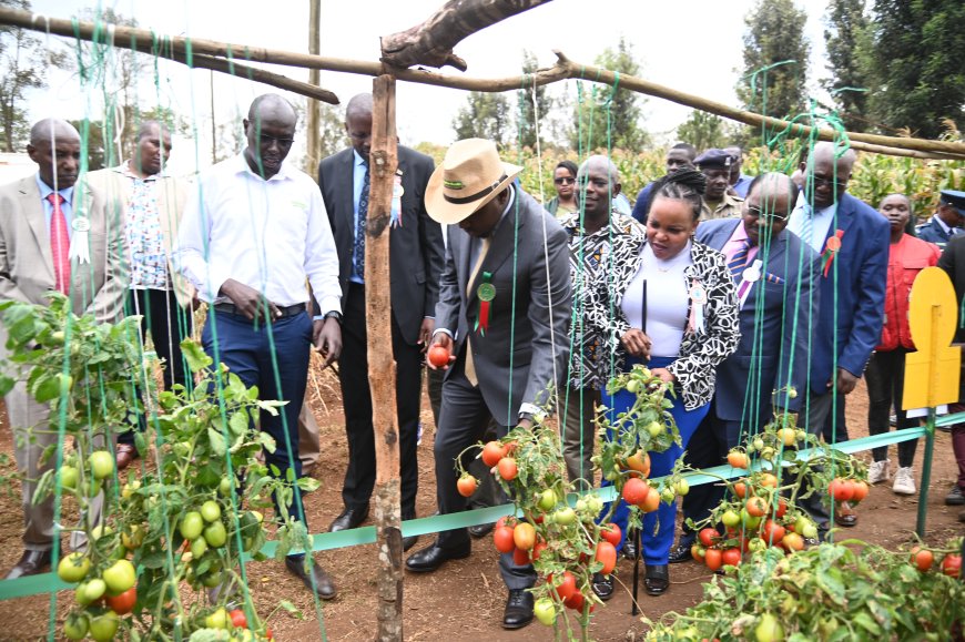 Roads ministry to facilitate access to markets by farmers by completing all pending road projects