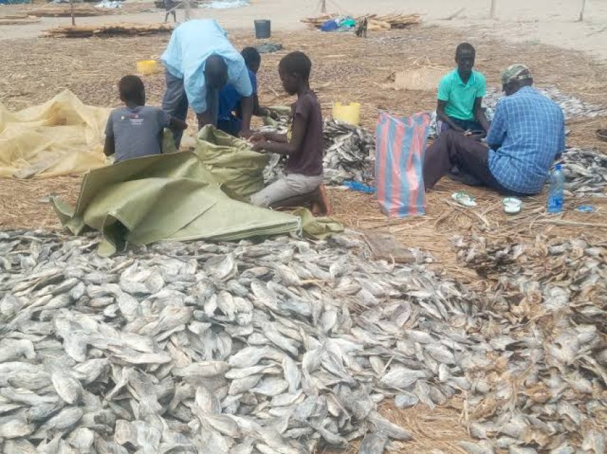 Reject undersize fish sold by unscrupulous fishermen, urge Women Groups leaders