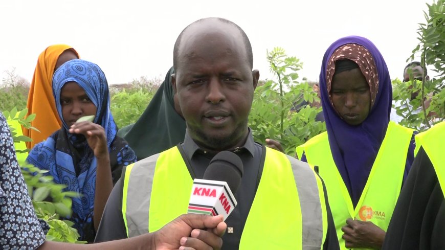 Garissa's primary school solving food and fuel problems through irrigation farming